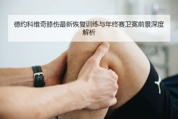 德约科维奇膝伤最新恢复训练与年终赛卫冕前景深度解析